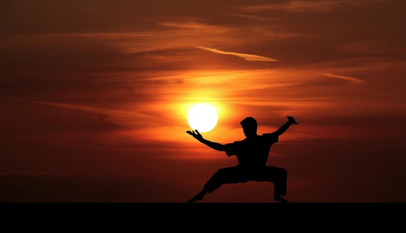 Tai Chi Balance Image